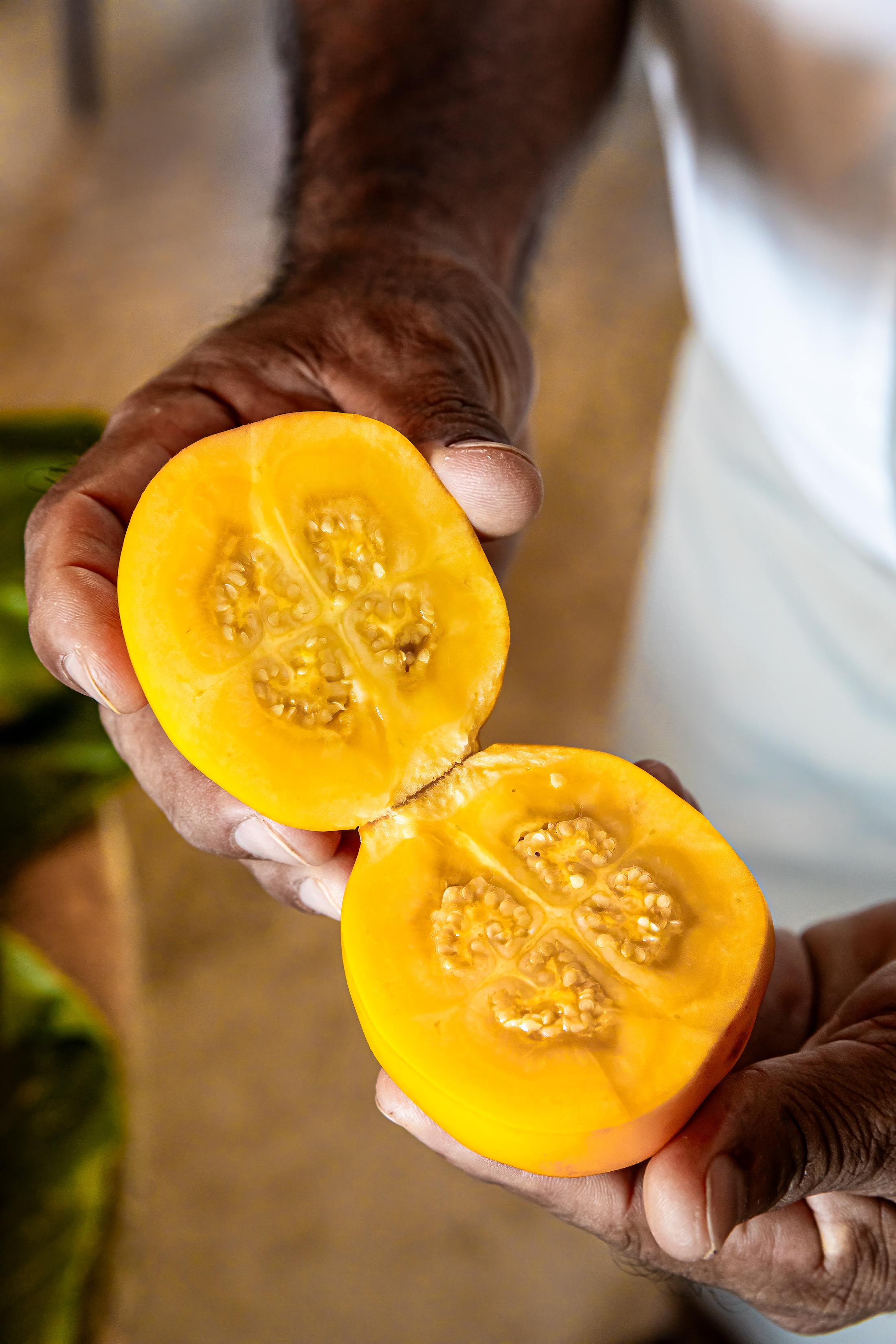 Naranjilla fruit, also known as lulo